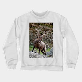 Ibex Crewneck Sweatshirt